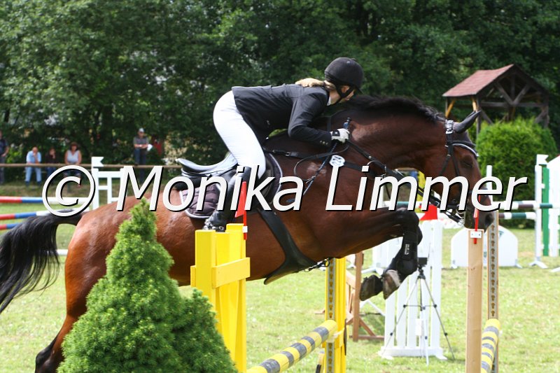 007M9916_Lovely Boy_Spring_L.JPG